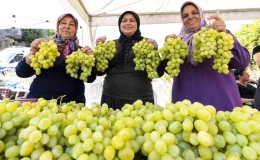Mersin Büyükşehir Belediye Başkanı Vahap Seçer, Akdeniz meyve sineğiyle mücadeleye katkı yapacak