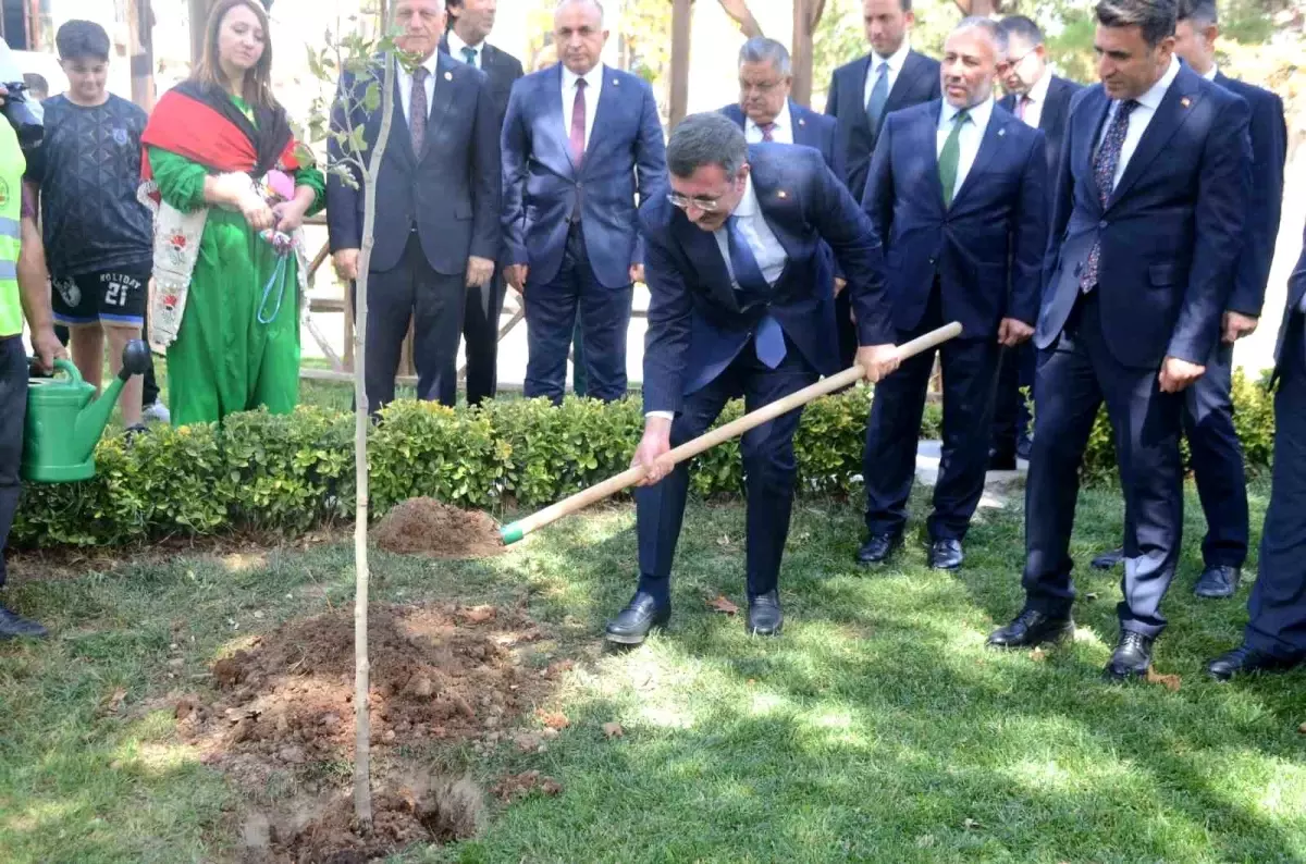 Cevdet Yılmaz’dan Bilecik’e Çınar Fidesi