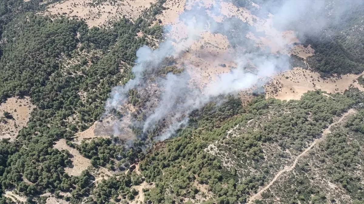 Kaş’ta Orman Yangınına Müdahale