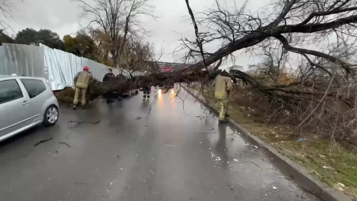 Yoğun Yağışlar İğde Ağaçlarını Devrildi, Elektrik ve Telefon Hatlarına Zarar Verdi